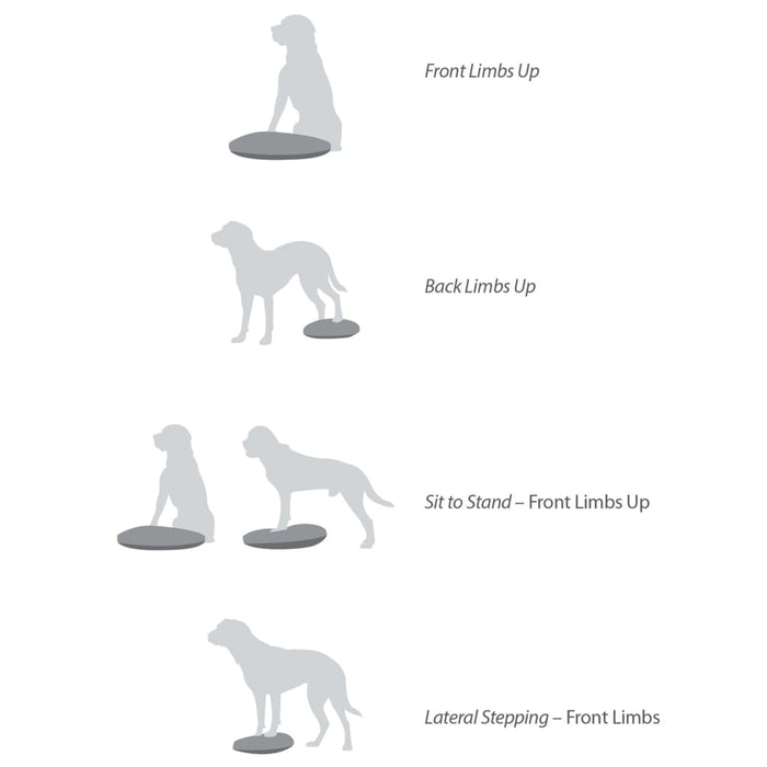 Pet Balance Disc 56 cm Razzleberry