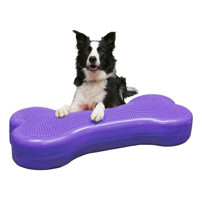 Pet Balance Platform Giant K9FITbone PVC Violet