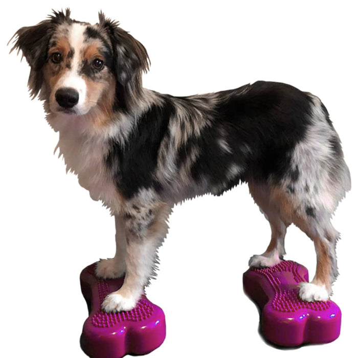 Pet Balance Platform Mini K9FITbone 2 buc 29x16,5x6 cm