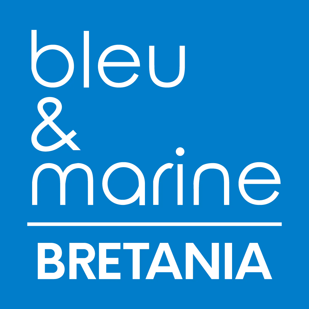 Bleu Marine, France