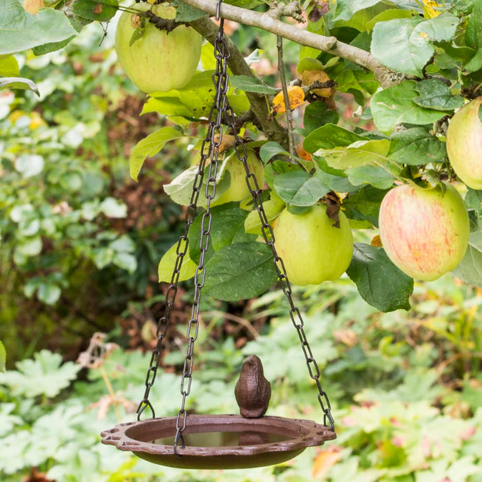 Hanging Bird Bath 20.5 cm Brown