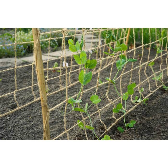 Nature Plant Climbing Netting Jute 1x3 m Natural