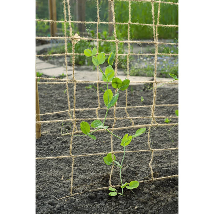 Nature Plant Climbing Netting Jute 1x3 m Natural