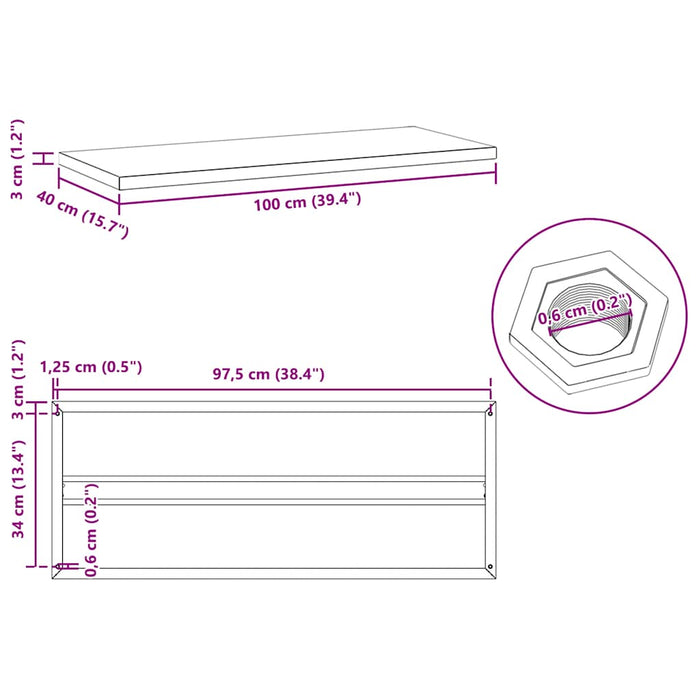 Wall Shelves 2 pcs 100x40x3 cm Black Stainless Steel