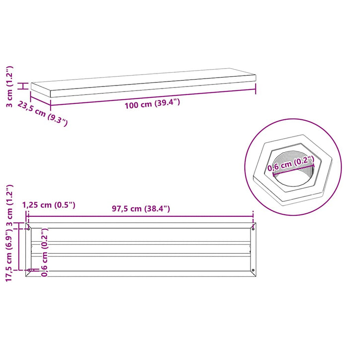 Wall Shelves 2 pcs 100x23.5x3 cm Black Stainless Steel