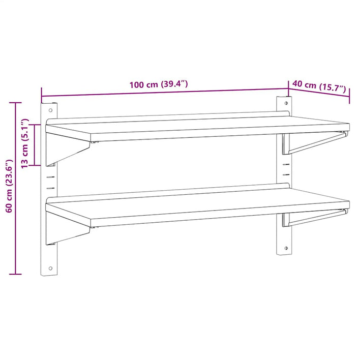 2-Tier Wall Shelf 100x40x60 cm Silver Stainless Steel