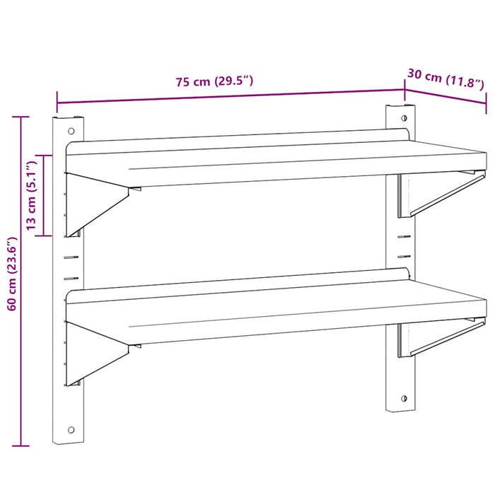 2-Tier Wall Shelf 75x30x60 cm Silver Stainless Steel