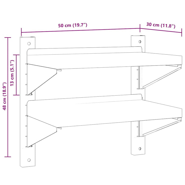 2-Tier Wall Shelf 50x30x48 cm Silver Stainless Steel