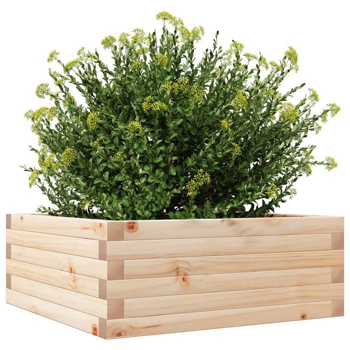 Garden Planter 60x60x23 cm Solid Wood Pine