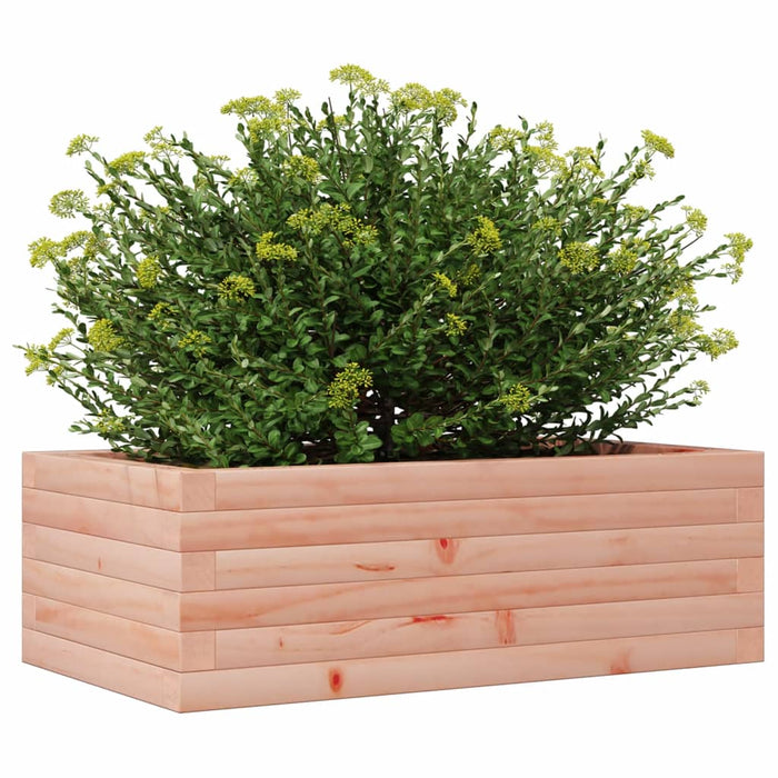 Garden Planter 70x40x23 cm Solid Wood Douglas