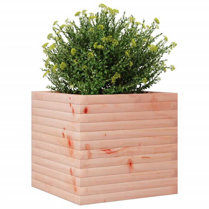 Garden Planter 50x50x45.5 cm Solid Wood Douglas