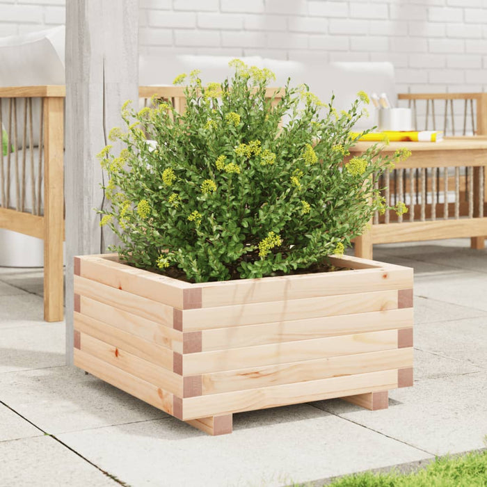 Garden Planter 50x50x26.5 cm Solid Wood Pine