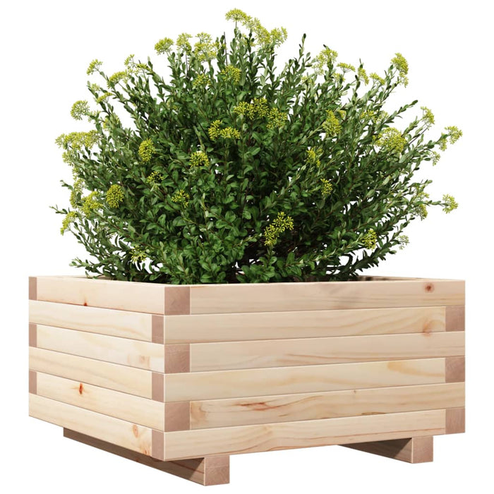 Garden Planter 50x50x26.5 cm Solid Wood Pine