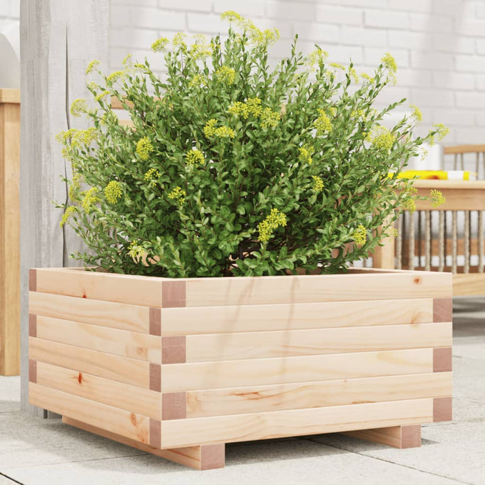 Garden Planter 50x50x26.5 cm Solid Wood Pine