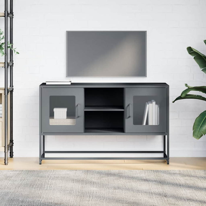 TV Cabinet Anthracite 100.5x39x60.5 cm Steel