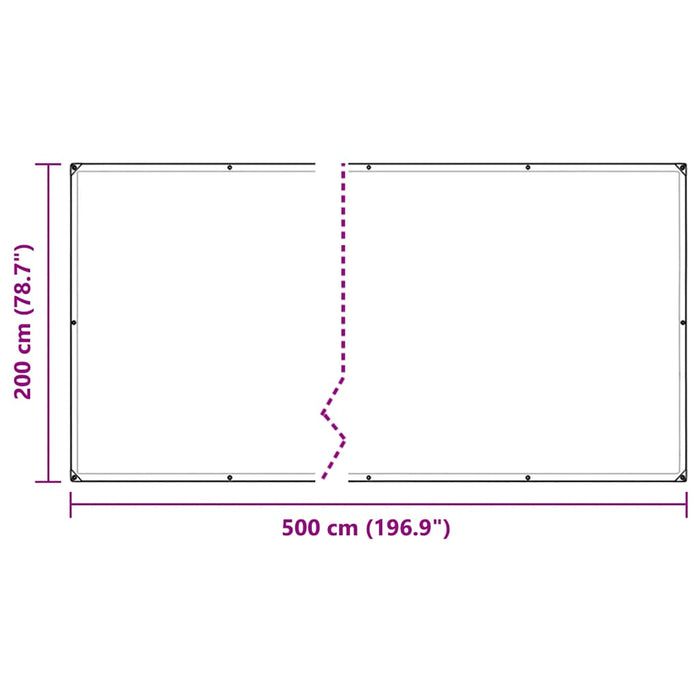 Clear Tarpaulin with Eyelets 2x5 m Polyethylene