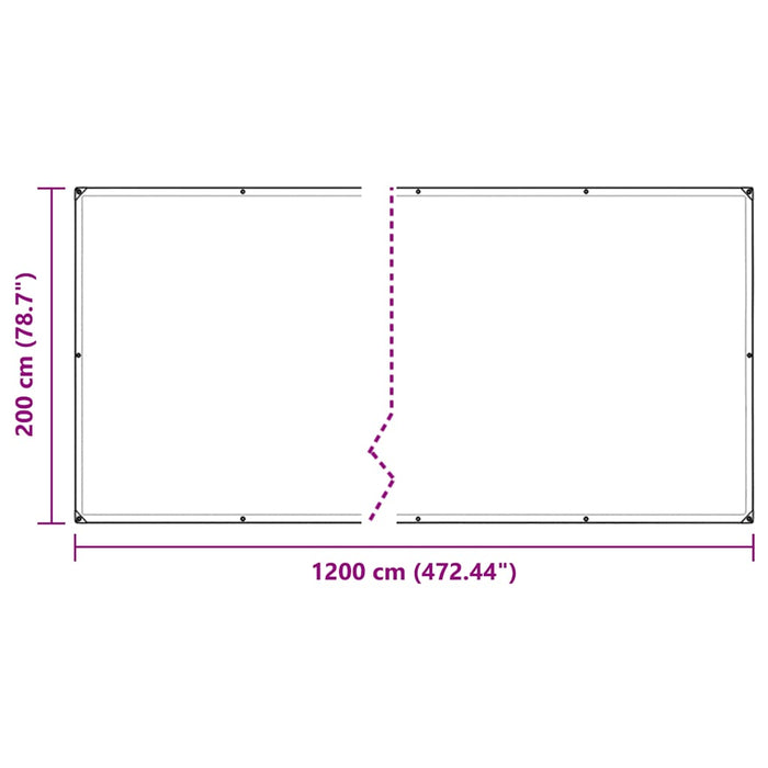 Clear Tarpaulin with Eyelets 2x12 m Polyethylene