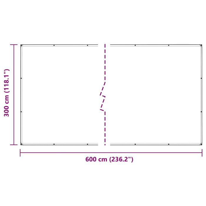 Clear Tarpaulin with Eyelets 3x6 m Polyethylene