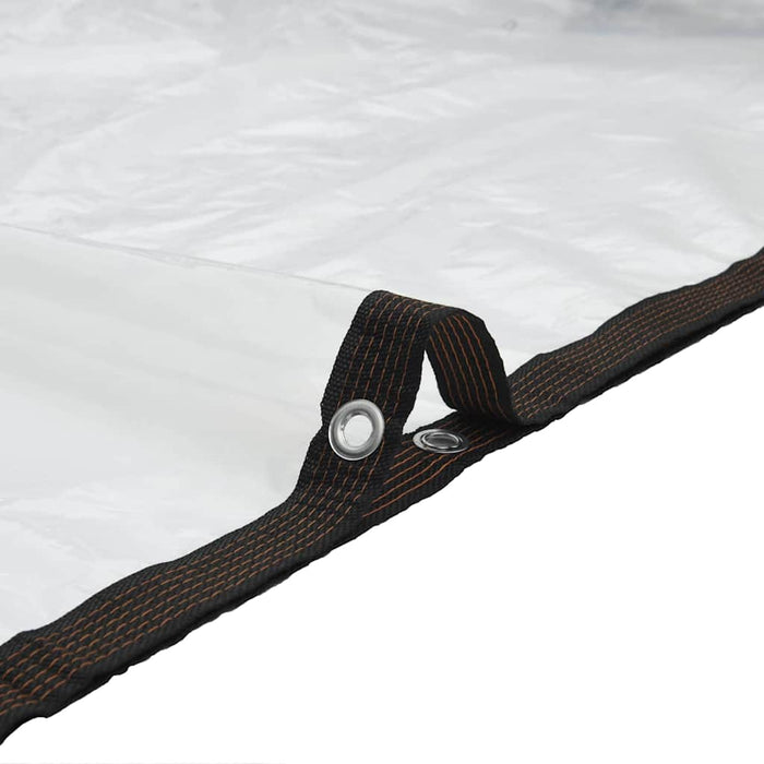 Clear Tarpaulin with Eyelets 1x6 m Polyethylene