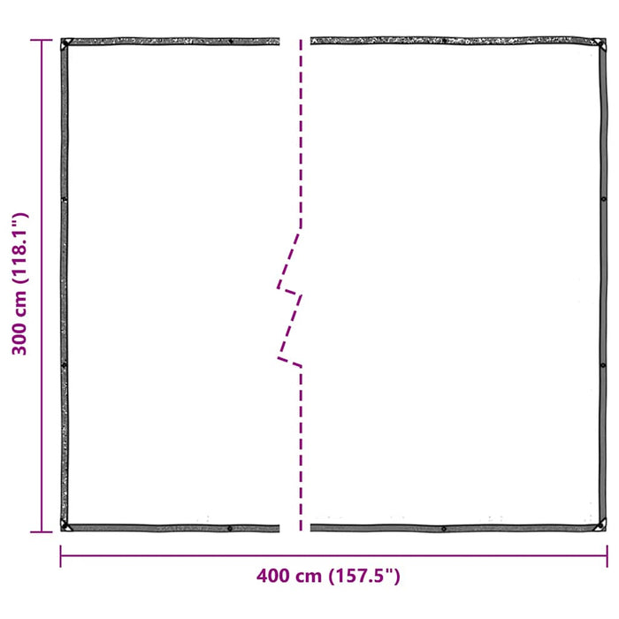 Clear Tarpaulin with Eyelets 3x4 m Polyethylene