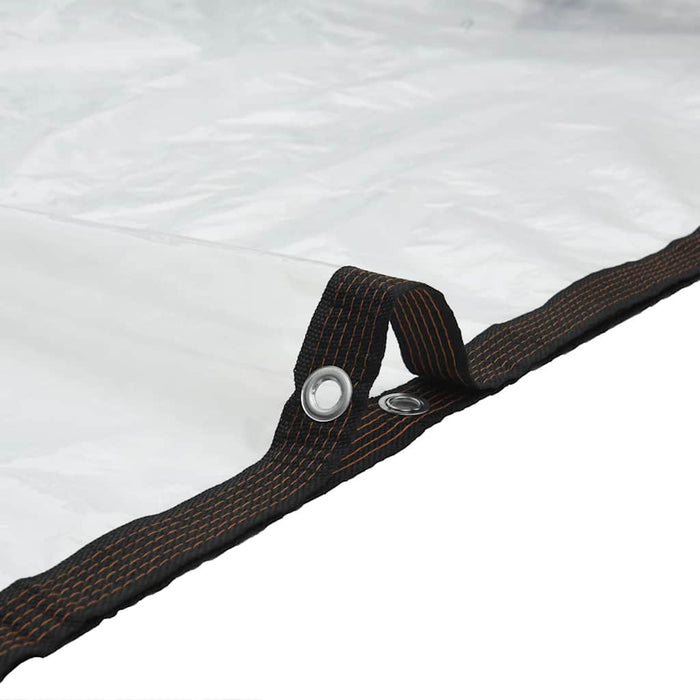 Clear Tarpaulin with Eyelets 4x8 m Polyethylene