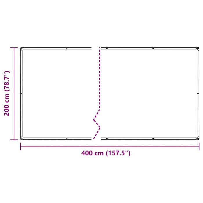 Clear Tarpaulin with Eyelets 2x4 m PVC