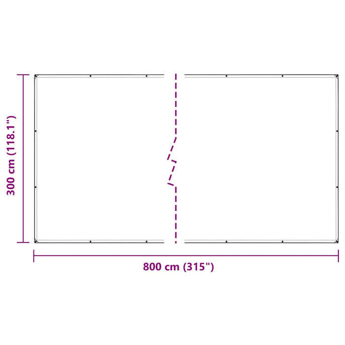 Prelata transparenta cu ochiuri 3x8 m PVC