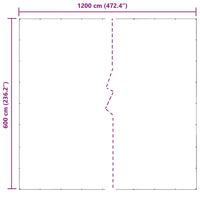 Prelata transparenta cu ochiuri 6x12 m PVC