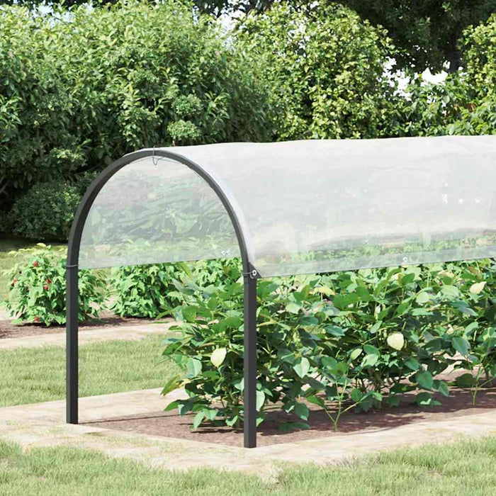 Plant Cover with Eyelets 2x6 m Polyethylene