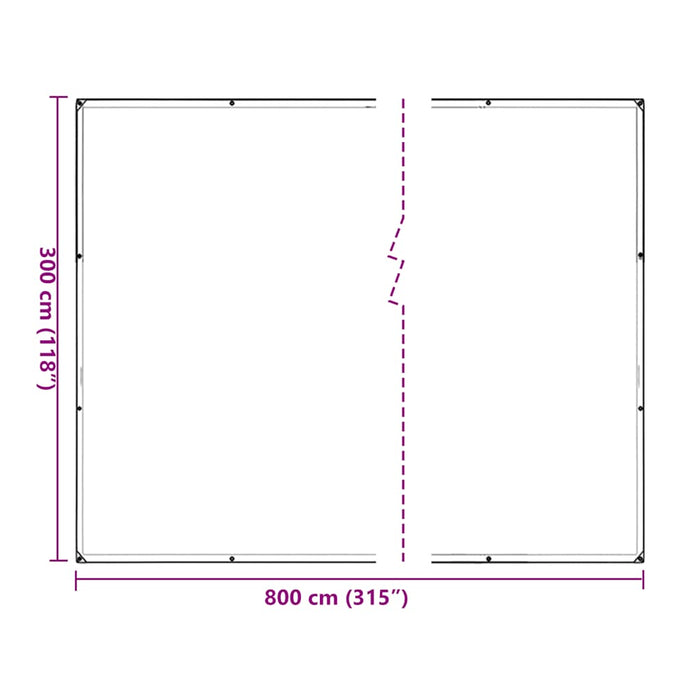 Plant Cover with Eyelets 3x8 m Polyethylene